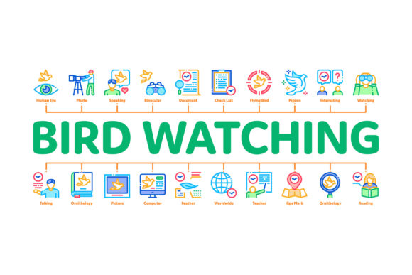 Bird Watching Tourism Minimal: Visual Design Guide